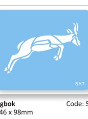 Springbok