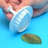 Veined Rose Leaf Plngr Ctr XXX Lrg 55mm