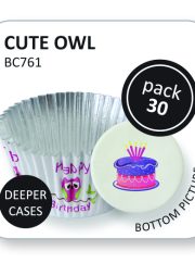 Cute Owls Decorative Foil Baking Cups Pk/30
