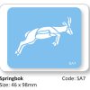 Springbok