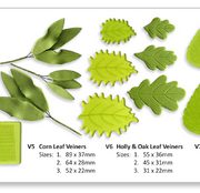 Veiner Set Two - Set of 9