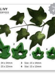 Small Ivy - Set of 4