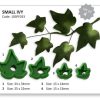 Small Ivy - Set of 4